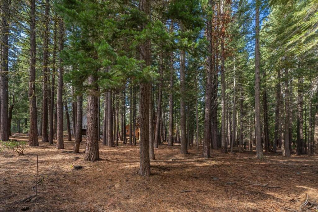 3Br Tahoe Donner Cabin With Hoa Perks Like Pools Hot-Tub Minutes To Trails Lake Golf Truckee Kültér fotó